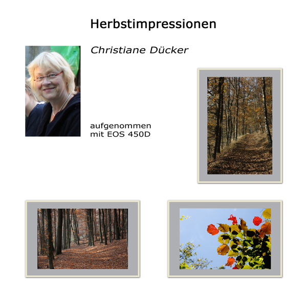 20121112-vorstellung - christiane duecker.jpg